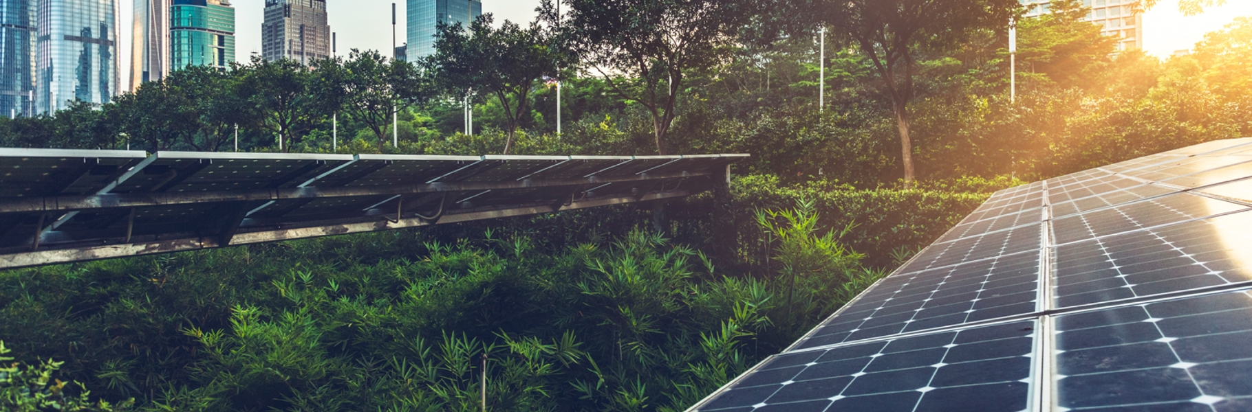 Accelerate the circular  economy transition